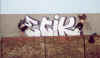 chrometik9.jpg (65707 octets)