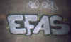 efas25.jpg (24618 octets)