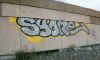 syonechromesx3.jpg (55465 octets)