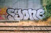 syonechromesx.jpg (64429 octets)