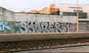 syonez53.jpg (50136 octets)