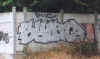 syonez54.jpg (26643 octets)