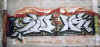 syonez56.jpg (65492 octets)