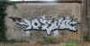 syonez57.jpg (43239 octets)