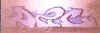 p2c4.jpg (104780 octets)