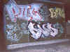 p2csyone6.jpg (50409 octets)