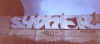 syone11.jpg (45712 octets)
