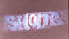 syone12.jpg (72134 octets)