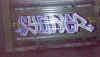 syone13.jpg (57973 octets)
