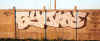 syone15.jpg (33306 octets)