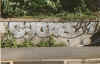 syone16.jpg (69943 octets)