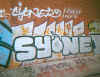 syone25.jpg (39747 octets)