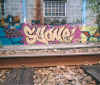 syone29.jpg (60002 octets)