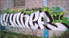 syone30.jpg (57207 octets)