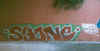 syone31.jpg (31400 octets)
