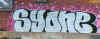 syone35.jpg (29558 octets)