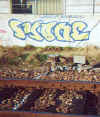 syone40.jpg (29766 octets)