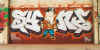 syone45.jpg (42024 octets)