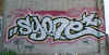 syone51.jpg (41249 octets)