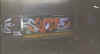 syone5.jpg (47016 octets)