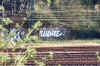 syone9.jpg (104282 octets)
