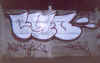 syoneflop16.jpg (34700 octets)