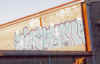 syoneflop4zoom.jpg (58504 octets)