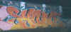 syonetrain13bis.jpg (22846 octets)
