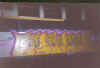syonetrain6.jpg (51618 octets)